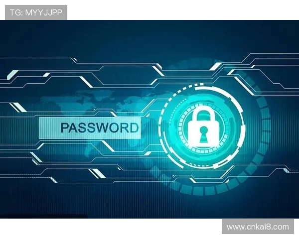 深入探讨凯发入口的安全性，保障玩家账户信息的安全与隐私