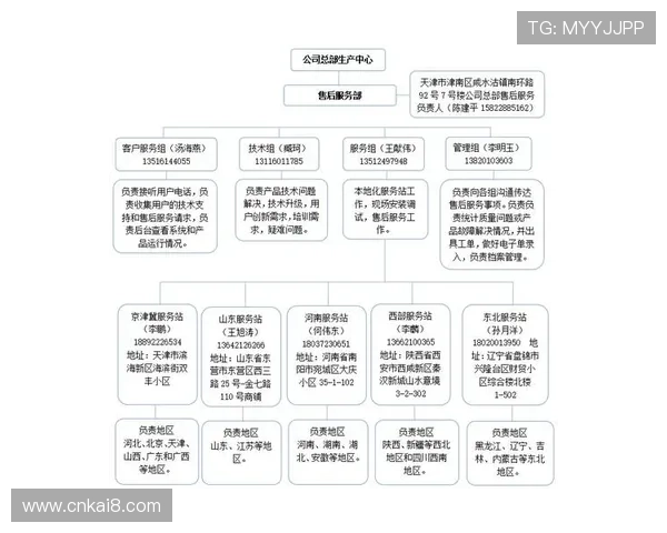 K8凯发国际登录平台的客户服务与技术支持体系详解
