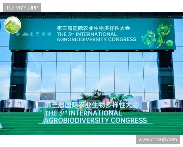 凯发国际网站的支付方式多样性与快速到账流程