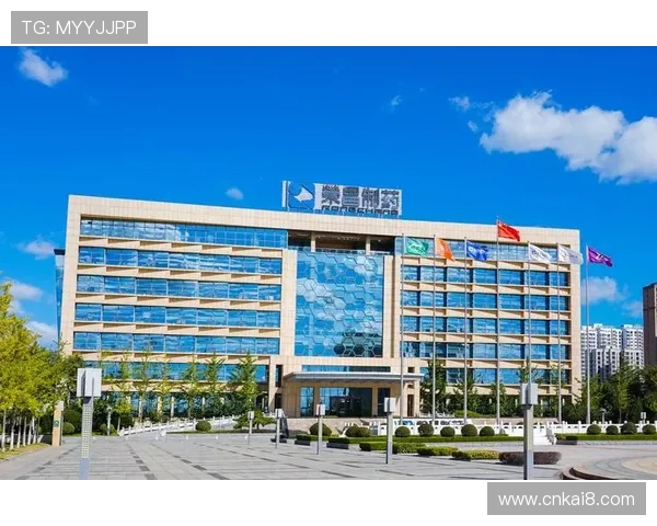 凯发K8官网入口常见问题解答及登录入口更新信息全方位解析