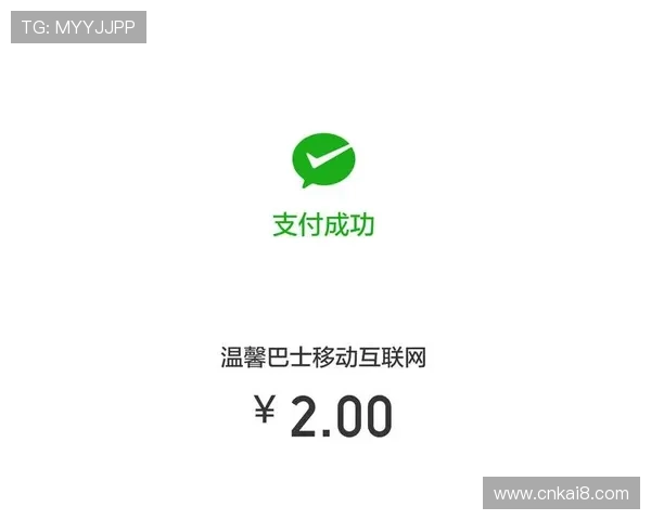 IM体育支付方式详解：多样化支付渠道保障资金安全与便捷