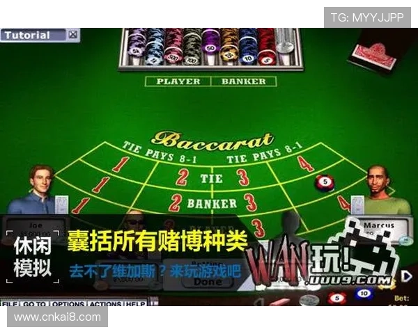 凯发赌场扑克用户体验优化策略，提升游戏流畅度与玩家满意度的实用技巧