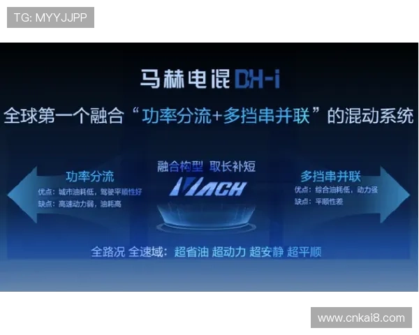 凯发BTI体育用户评价与口碑分析：真实体验助你做出明智选择