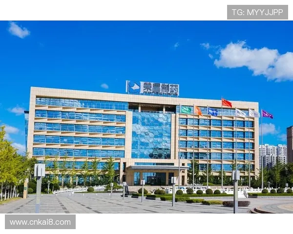 凯发集团旗下公司名单及其在娱乐和博彩行业的核心业务介绍